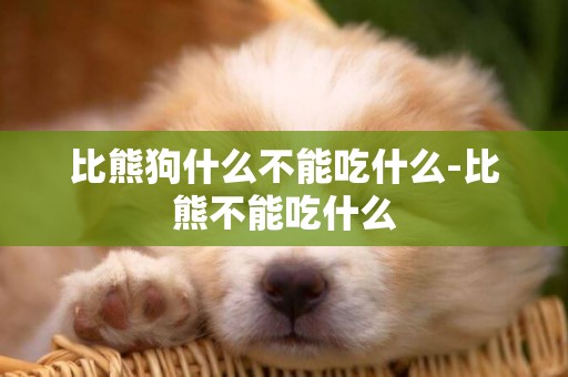 比熊狗什么不能吃什么-比熊不能吃什么