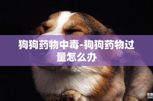 狗狗藥物中毒-狗狗藥物過量怎么辦