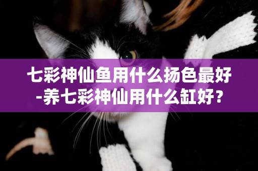 七彩神仙魚用什么揚色最好-養七彩神仙用什么缸好？
