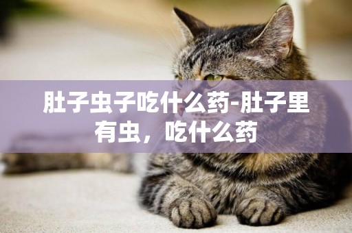 肚子蟲子吃什么藥-肚子里有蟲，吃什么藥