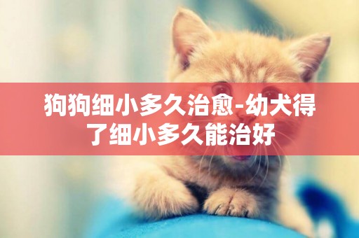 狗狗細小多久治愈-幼犬得了細小多久能治好