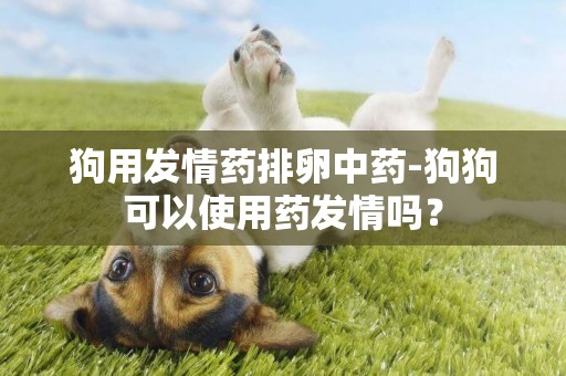 狗用發情藥排卵中藥-狗狗可以使用藥發情嗎？