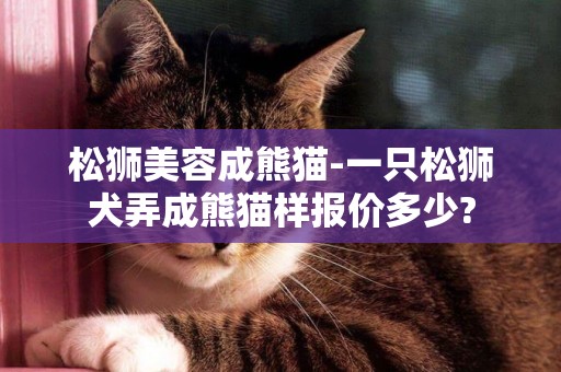 松獅美容成熊貓-一只松獅犬弄成熊貓樣報價多少?