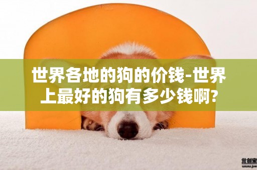 世界各地的狗的價錢-世界上最好的狗有多少錢啊?