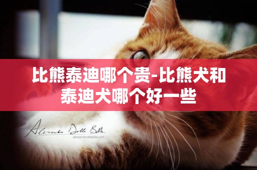 比熊泰迪哪個貴-比熊犬和泰迪犬哪個好一些