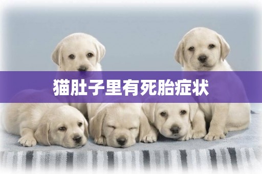 貓肚子里有死胎癥狀