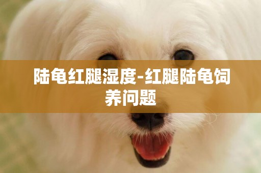陸龜紅腿濕度-紅腿陸龜飼養問題