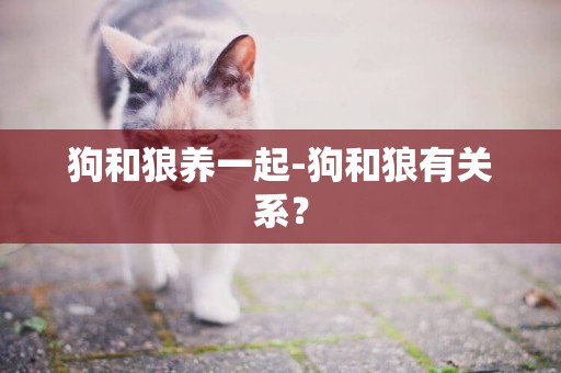 狗和狼養一起-狗和狼有關系？