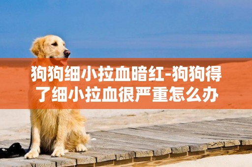 狗狗細小拉血暗紅-狗狗得了細小拉血很嚴重怎么辦