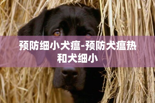 預防細小犬瘟-預防犬瘟熱和犬細小