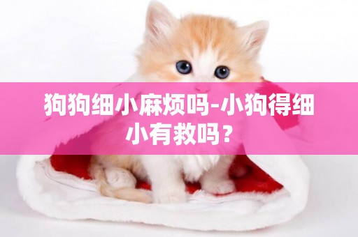 狗狗細小麻煩嗎-小狗得細小有救嗎？