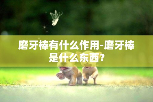 磨牙棒有什么作用-磨牙棒是什么東西？
