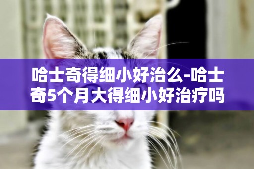 哈士奇得細小好治么-哈士奇5個月大得細小好治療嗎