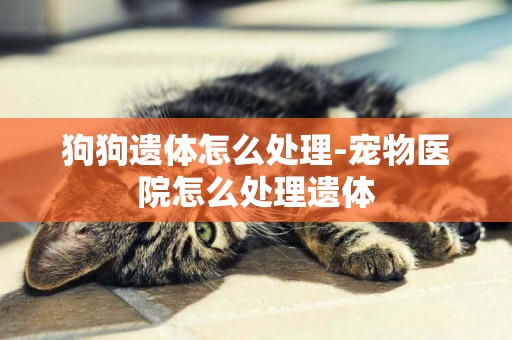 狗狗遺體怎么處理-寵物醫院怎么處理遺體
