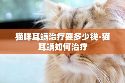 貓咪耳螨治療要多少錢-貓耳螨如何治療