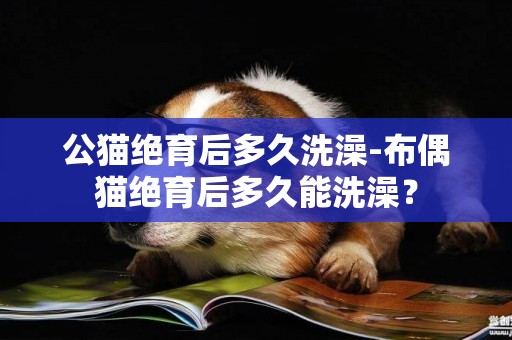 公貓絕育后多久洗澡-布偶貓絕育后多久能洗澡？