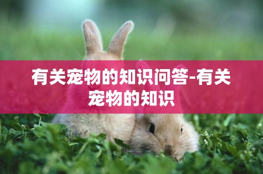 有關寵物的知識問答-有關寵物的知識
