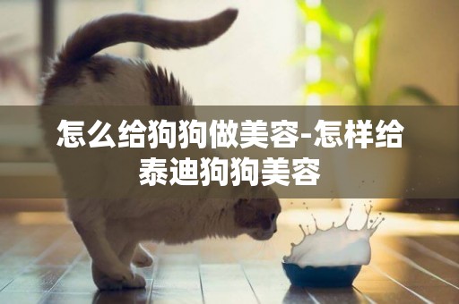 怎么給狗狗做美容-怎樣給泰迪狗狗美容