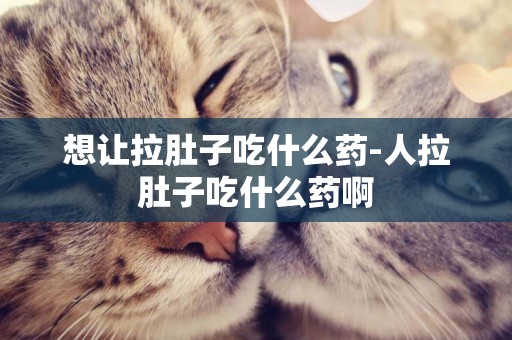 想讓拉肚子吃什么藥-人拉肚子吃什么藥啊