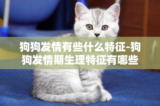 狗狗發情有些什么特征-狗狗發情期生理特征有哪些