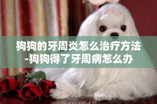 狗狗的牙周炎怎么治療方法-狗狗得了牙周病怎么辦