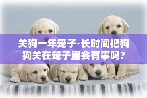 關狗一年籠子-長時間把狗狗關在籠子里會有事嗎？
