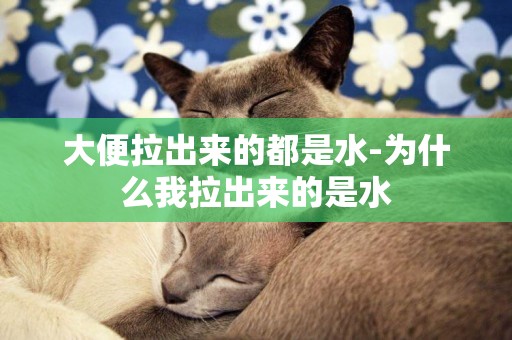 大便拉出來的都是水-為什么我拉出來的是水