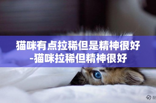 貓咪有點拉稀但是精神很好-貓咪拉稀但精神很好