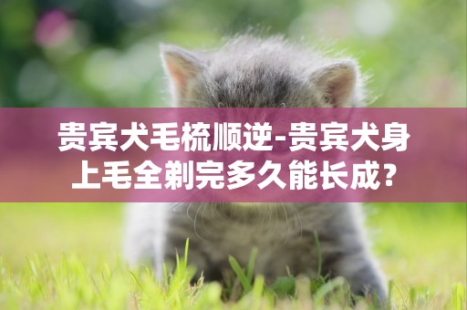 貴賓犬毛梳順逆-貴賓犬身上毛全剃完多久能長成？