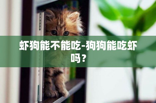 蝦狗能不能吃-狗狗能吃蝦嗎？