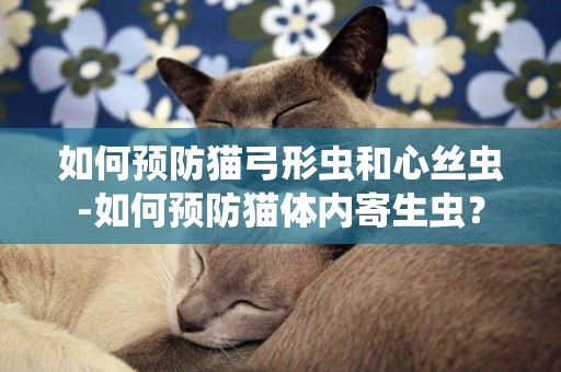 如何預防貓弓形蟲和心絲蟲-如何預防貓體內寄生蟲？