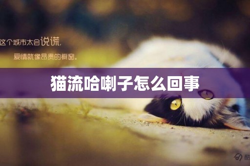貓流哈喇子怎么回事
