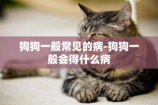 狗狗一般常見的病-狗狗一般會得什么病