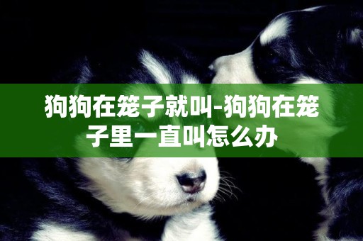 狗狗在籠子就叫-狗狗在籠子里一直叫怎么辦