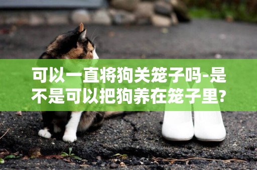 可以一直將狗關籠子嗎-是不是可以把狗養在籠子里?