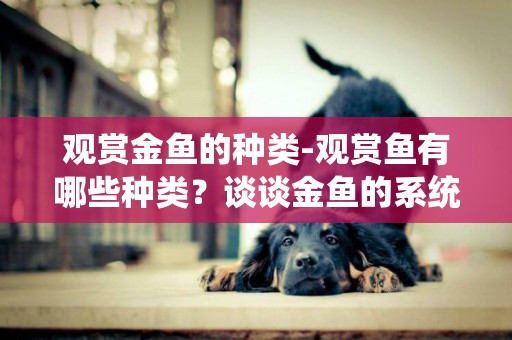 觀賞金魚的種類-觀賞魚有哪些種類？談談金魚的系統分類．