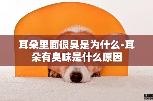 耳朵里面很臭是為什么-耳朵有臭味是什么原因