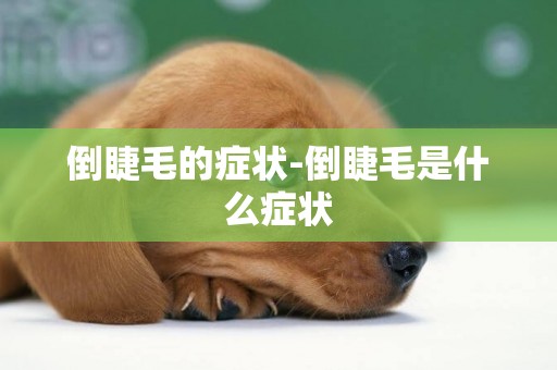 倒睫毛的癥狀-倒睫毛是什么癥狀