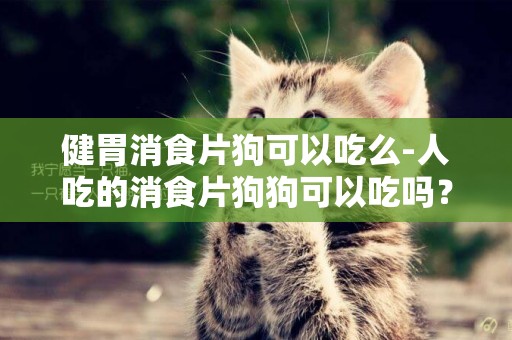 健胃消食片狗可以吃么-人吃的消食片狗狗可以吃嗎？