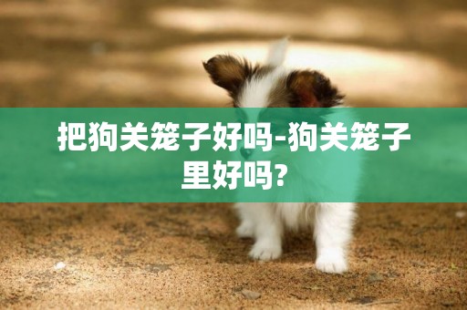 把狗關籠子好嗎-狗關籠子里好嗎?
