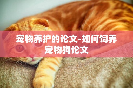 寵物養護的論文-如何飼養寵物狗論文