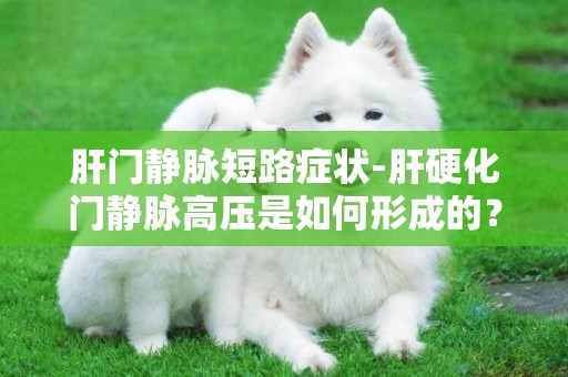 肝門靜脈短路癥狀-肝硬化門靜脈高壓是如何形成的？