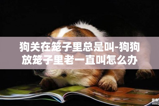 狗關在籠子里總是叫-狗狗放籠子里老一直叫怎么辦
