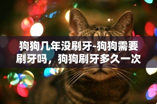 狗狗幾年沒刷牙-狗狗需要刷牙嗎，狗狗刷牙多久一次