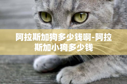 阿拉斯加狗多少錢啊-阿拉斯加小狗多少錢