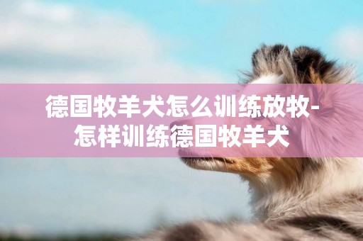 德國牧羊犬怎么訓練放牧-怎樣訓練德國牧羊犬