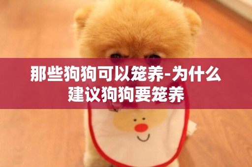 那些狗狗可以籠養-為什么建議狗狗要籠養