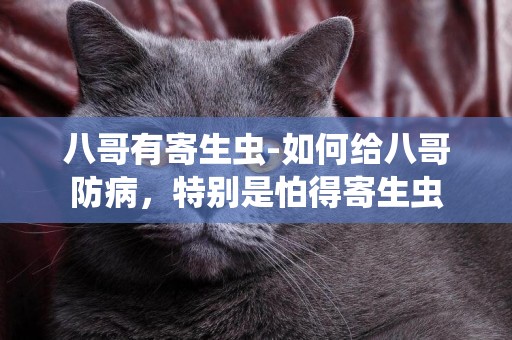 八哥有寄生蟲-如何給八哥防病，特別是怕得寄生蟲