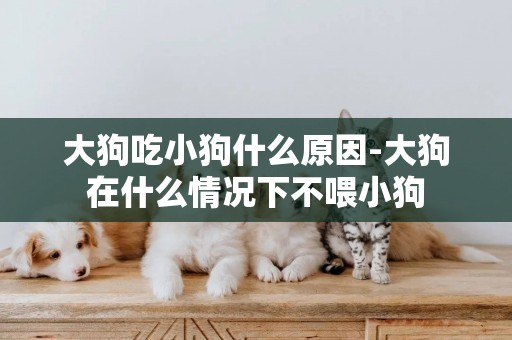 大狗吃小狗什么原因-大狗在什么情況下不喂小狗