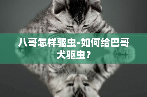 八哥怎樣驅蟲-如何給巴哥犬驅蟲？